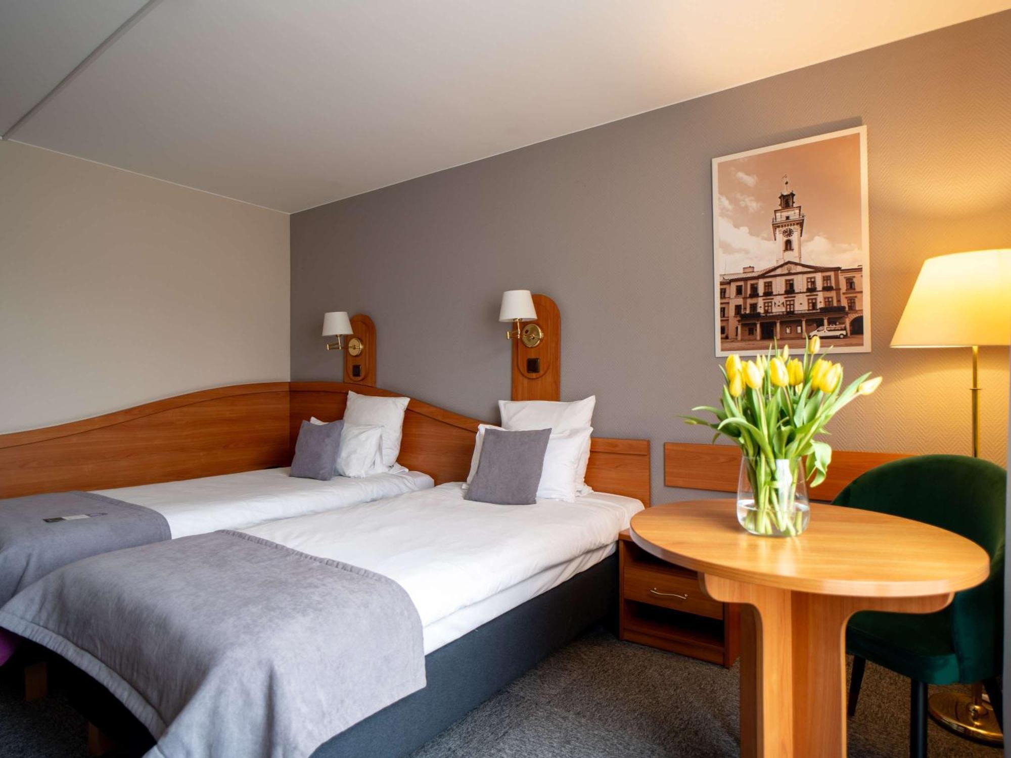 Mercure Cieszyn Cieszyn  Exterior photo